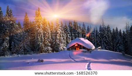 Climbing to tourist wild alpine mountain to an abandoned cabin-in order to illuminate the snow-covered spruce canopy. Christmas in the Carpathians.In the frosty sky from overheated stove sparks of ...