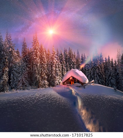 Climbing to tourist wild alpine mountain to an abandoned cabin-in order to illuminate the snow-covered spruce canopy during new, sunrise, sunset, to see the first star of Christmas in the Carpathians.