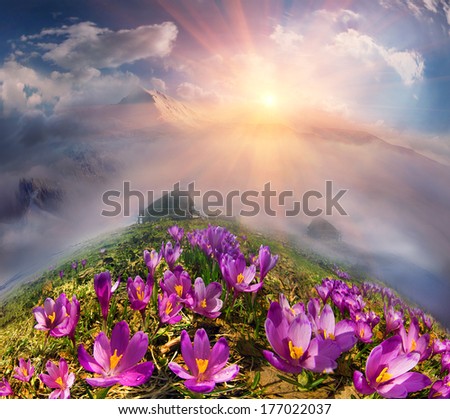 In May, the snow melts and the mountains are covered by a beautiful carpet of flowers. Spring celebrations in May and favorite time to explore the nature of awakening, under the warm rays of the sun