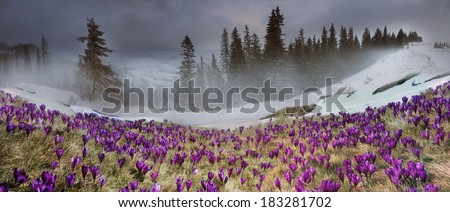 In March-April after a winter in the mountains of unstable weather, and replaced by the warmth, the sun can come quickly alpine cold, strong wind and sleet and then freezing plants and flowers