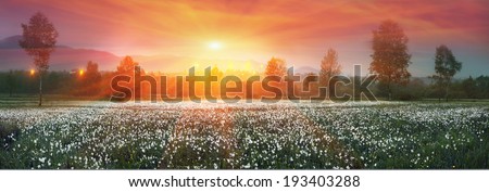 summer turning into a very beautiful time of year, when they begin to blossom on the background of bright colors in sunrises sunsets. Manufacturers calendars artists photographers appreciate this time