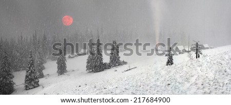 winter forest image name (h1)