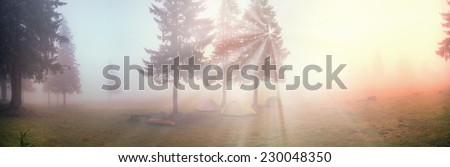 Alpine autumn panorama, scenic sunrise in the beautiful Carpathian forest after rain shining colors and  freshness and coolness of the morning - will clear the new day and good weather after the storm