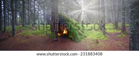 Hut hunter in ancient forest in Carpathians built on an ancient skeleton technologies- from logs to build branches, and laid on top of the turf and moss. It is warm and rain is not terrible