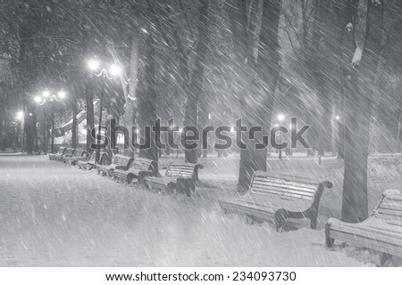 Severe weather in Kiev citizens favorite park, twilight hid fog and snowfall old trees, fall asleep benches lights shine through the mist, a strong wind blows snowflakes quickly through  the  branches