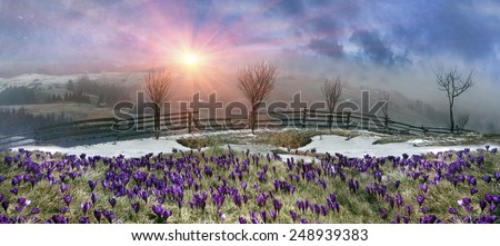 In March-April after a winter in the mountains of unstable weather, and replaced by the warmth, the sun can come quickly alpine cold, strong wind and sleet and then freezing plants and flowers