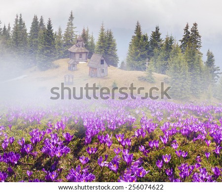 High in the mountains, in the alpine fields above beech and spruce forests is the most mountainous Carpathian wooden church - where the summer conduct ceremonies for the shepherds of sheep and cows.