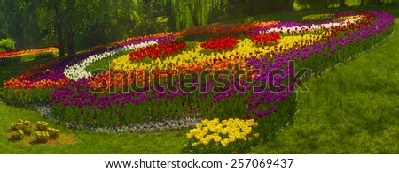 Spring, summer, turning into a very beautiful time of year, when they begin to blossom  of bright colors in sunrises and sunsets. Manufacturers calendars, artists, photographers appreciate this time