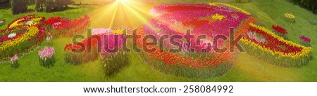 Spring, summer very beautiful time of year, when they begin to blossom on the background of bright colors in sunrises and sunsets. Manufacturers calendars, artists, photographers appreciate this time