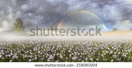 Beauty panorama of mountain alpine meadows in Transcarpathia - is the abundance of vegetation on the background of beautiful tops and interesting weather conditions. Beauty rainbow during a storm