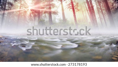 Rough river with fast-flowing after a storm in the fog on the background of a romantic landscape at sunrise for wild Carpathian forest wet stones glisten with dew