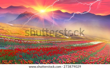 turning into a very beautiful time of year, when they begin to blossom on the background of bright colors in sunrises and sunsets. Manufacturers calendars, artists, photographers appreciate this time