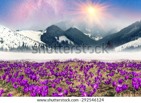 Fantastic landscape, symbolizing the unity of the spring and winter, on the fairy tale \