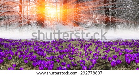 Fantastic landscape, symbolizing the unity of the spring and winter, on the fairy tale \