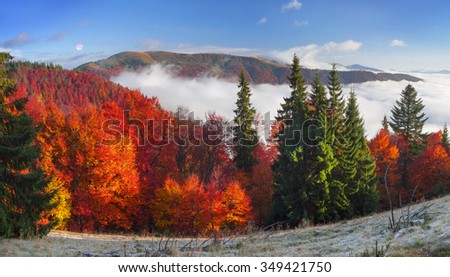 In the Carpathians, golden autumn cold often turns into snow, and then again come warm sunny days. Against the background of high mountain ranges and beautiful beech forests scenic