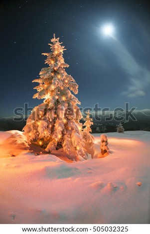 Frosty winter night of Christening - magic light fairy lights on a snowy background in Alpine spruces forest after a snowstorm in the rugged mountains of Europe during the moon fairy