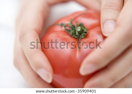 VEGETABLE IMAGE-a fresh tomato with woman\'s hands