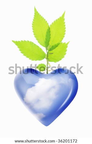 GRAPHIC IMAGE-a clear heart and green leaves isolated on white