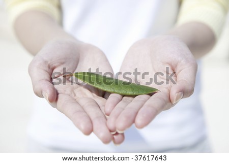A green leaf on the female both hands.