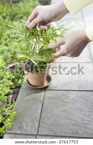 The lady who touches the green plant in the garden.
