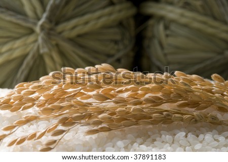 Three straw rice bags are place on a lot of fresh rice.