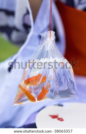 The lady who wears white and a blue yukata and goldfish in a festival day.
