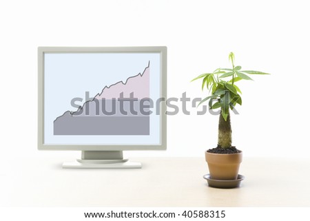 A beautiful green plant and line graph.