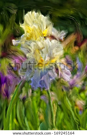 Painting of white iris bloom