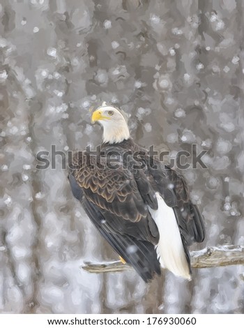 Oil painting of bald eagle in snowfall