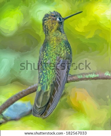 Painting of Magnificent Hummingbird in Costa Rica