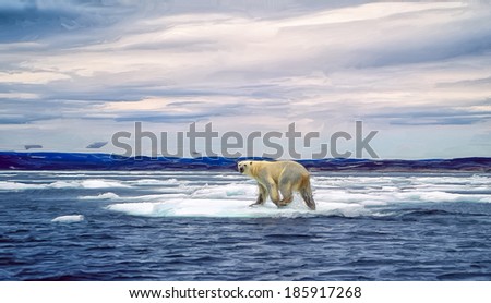 Polar bear on ice floe, Canadian Arctic