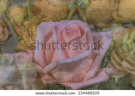 Rose painted against textured background