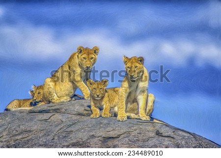 Pride of young lions resting on kopje