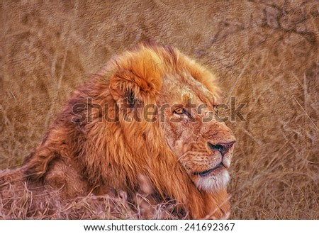 Lion head against textured background