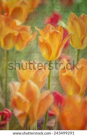 Orange tulips painted against decorative textured canvas