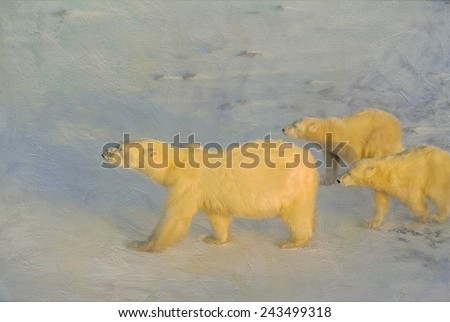 Polar bear with her cubs walking into a strong wind,very low Arctic sunlight.Photographed in the Canadian Arctic.