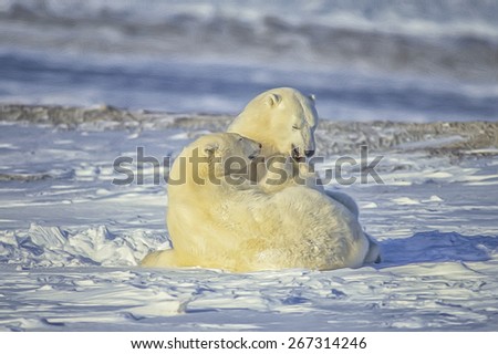 Polar bears play fight,Canadian Arctic. Digital oil painting