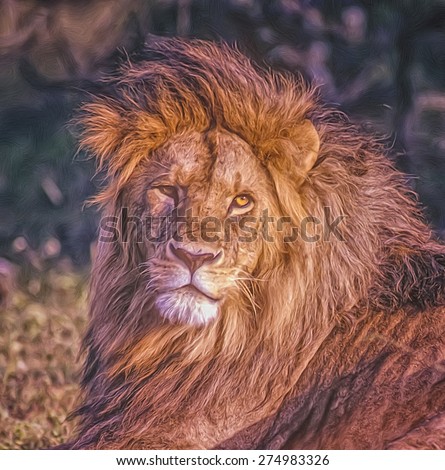 Digital oil painting of lion head and mane