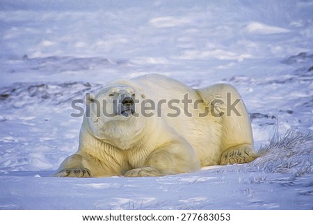 Large male polar bear lying on Arctic tundra, digital oil painting