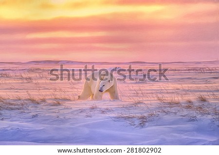 Lone polar bear on Arctic,tundra as the sun sets,digital oil painting.