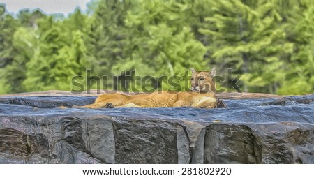 Cougar cooling off in Minnesota river digital oil painting