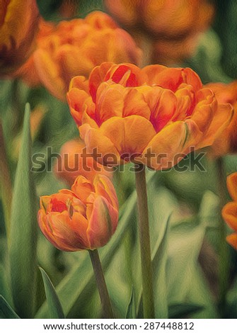 Orange tulips, photo art