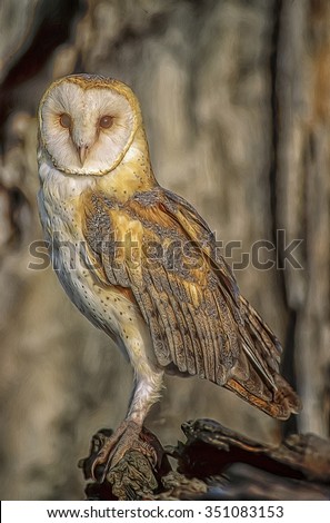 Portrait of common barn owl,digital oil painting