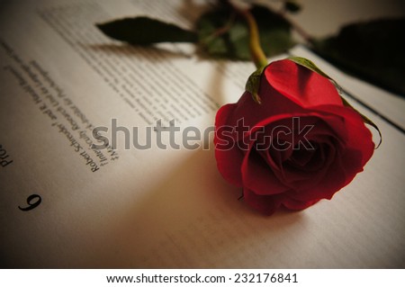 Rose on the book
