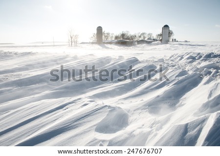 Winter landscape: Heavy snow at Minnesota