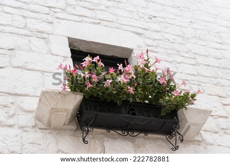 Window and flower box on ancient wall