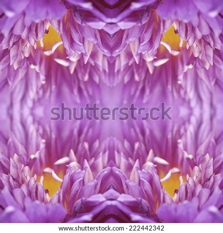 Seamless pattern made from water lilly Purple 80%. texture background