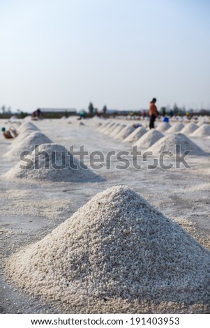 Pile of salt in the salt pan at rural Thailand
