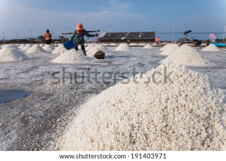 Pile of salt in the salt pan at rural Thailand