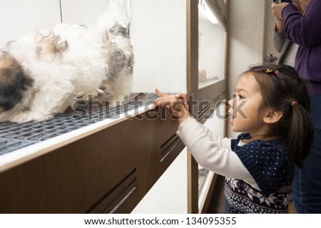 Visiting a pet shop, a little girl decides which little doggy in the window is for her. Turns out it\'s a cute little Shih Tzu.